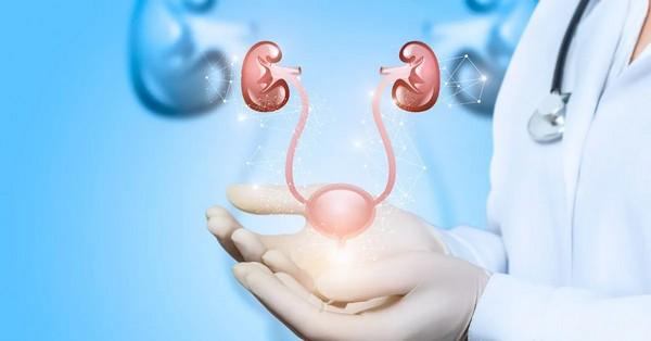 Ismerje meg a gyulladás hatásait és a megoldásokat! Kezelés, megelőzés, Kegel-gyakorlatok és diszkrét inkontinencia termékek.