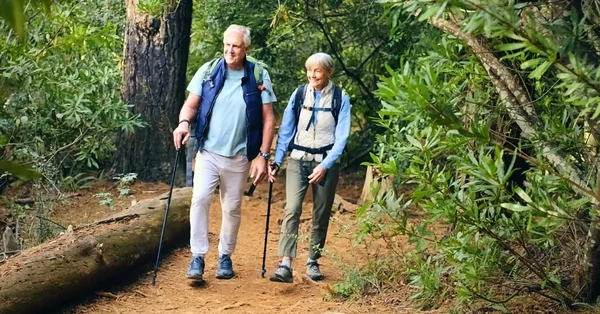 A séta a legjobb ízületkímélő mozgásforma, ami jót tesz a testnek és a léleknek. Segít a fogyásban és enyhíti az inkontinencia okozta pszichés terheket.